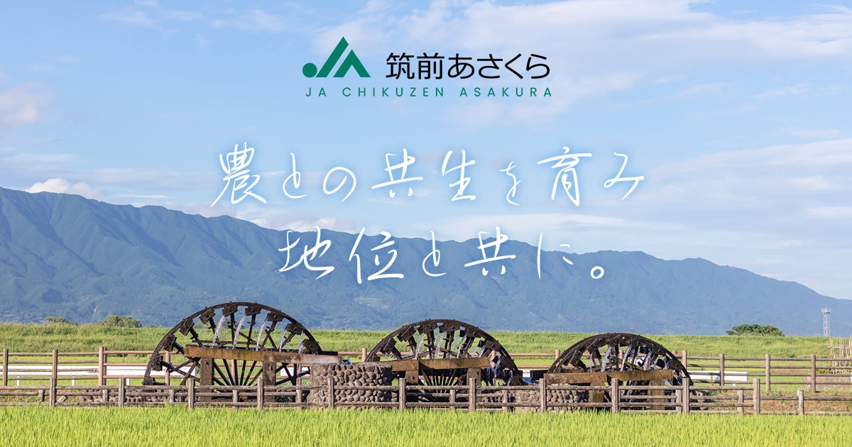 化合物の辞典 | 高本 進 |本 | 通販 | Amazon
